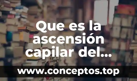 Que es la ascensión capilar del agua en los suelos