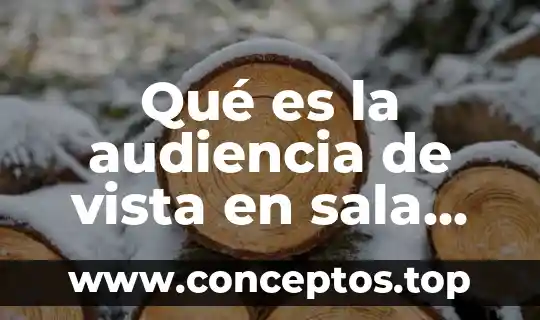 Qué es la audiencia de vista en sala civil