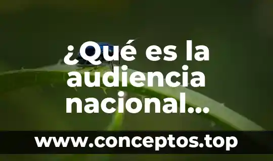 ¿Qué es la audiencia nacional trackid sp-006?