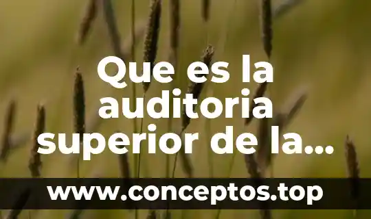 Que es la auditoria superior de la ciudad de mexico