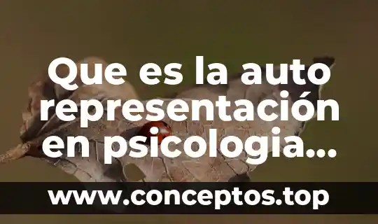 Que es la auto representación en psicologia social