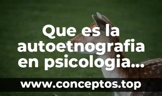Que es la autoetnografia en psicologia social