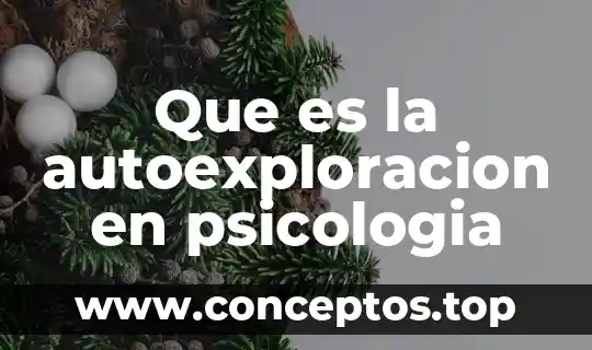 Que es la autoexploracion en psicologia