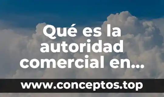 Qué es la autoridad comercial en comercio