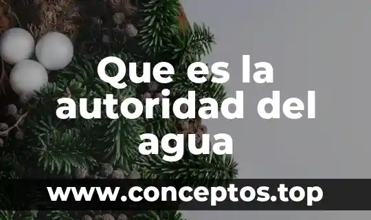 Que es la autoridad del agua