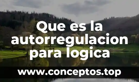 Que es significado y concepto sintaxis logica 4 Que es la autorregulacion para logica