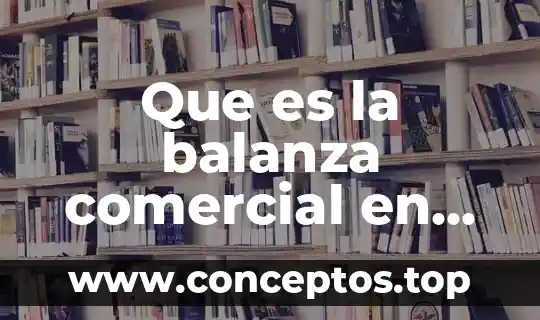 Que es la balanza de comprobacion y su estructura 8 Que es la balanza comercial en macroeconomia