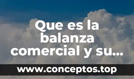 Que es la balanza comercial en macroeconomia 7 Que es la balanza comercial y su importancia