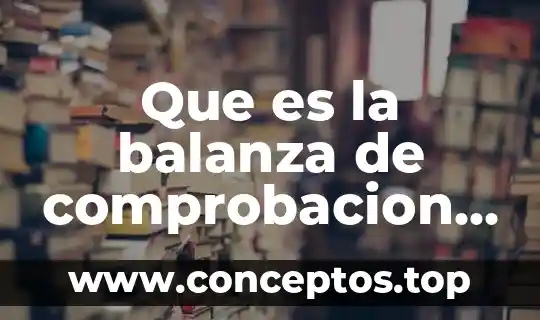 Que es la balanza comercial en macroeconomia 6 Que es la balanza de comprobacion y su estructura