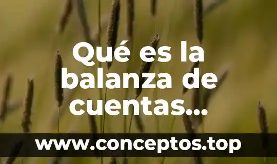 Que es la balanza comercial en macroeconomia 3 Qué es la balanza de cuentas capitales