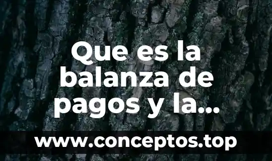 Que es la balanza comercial en macroeconomia 8 Que es la balanza de pagos y la balanza comercial