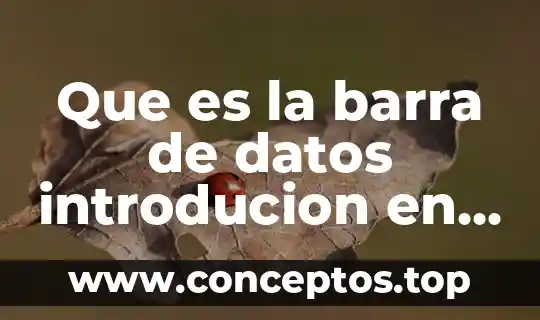 Que es la barra de datos introducion en excel