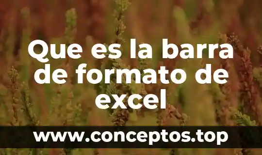 Que es la barra de formato de excel