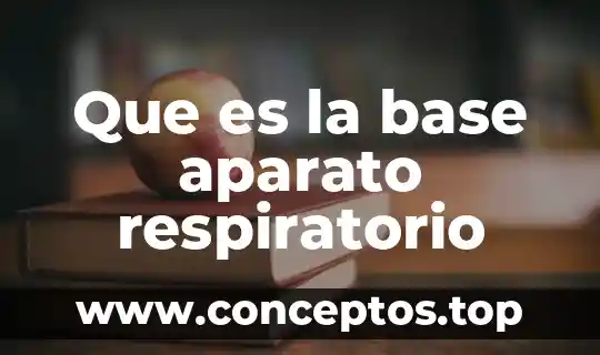 Que es un cuadro respiratorio 4 Que es la base aparato respiratorio
