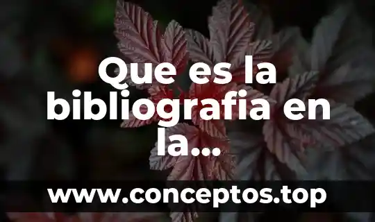 Que es la bibliografia en la investigacion cientifica