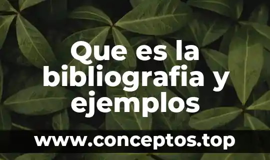 Que es la bibliografia y ejemplos