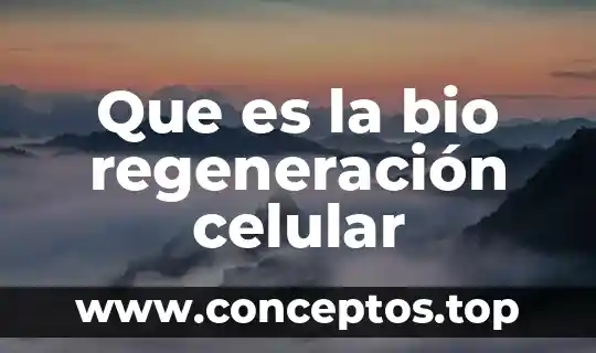 Shampein que es el proceso de regeneracion administrativa 6 Que es la bio regeneración celular