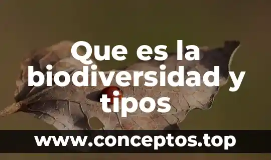Que es la biodiversidad y tipos