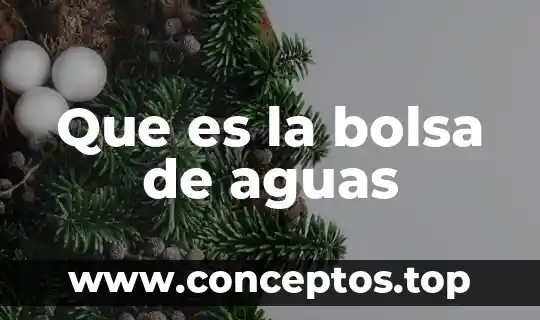 Que es ser un trader en la bolsa 7 Que es la bolsa de aguas