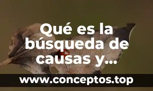 Escases de agua que es causas y consecuencias 3 Qué es la búsqueda de causas y consecuencias