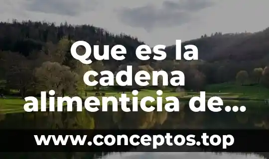 Que es la cadena alimenticia de los seres humanos