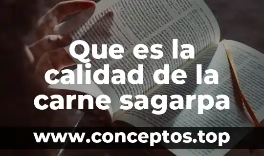 Que es carne molida en ingles 7 Que es la calidad de la carne sagarpa