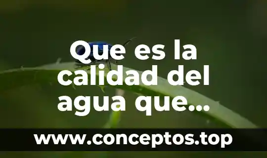 Que es la calidad del agua que tomamos