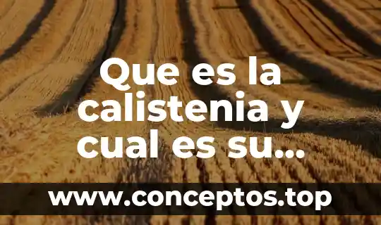 Que es t1 en una organización 4 Que es la calistenia y cual es su funcion