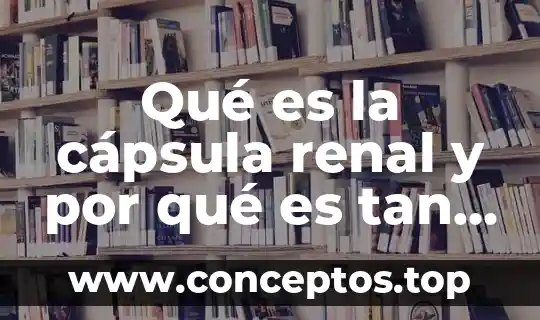 Qué es la cápsula renal y por qué es tan importante