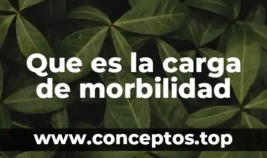 Que es la carga de morbilidad