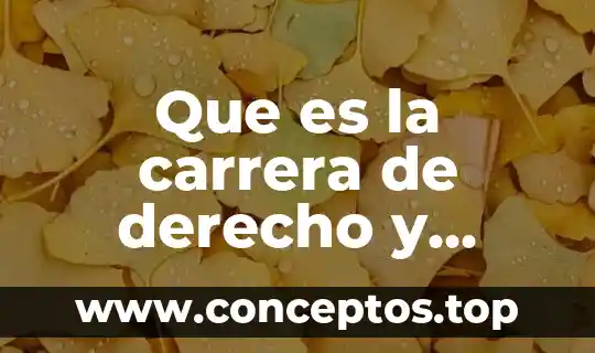 Que es una carrera profesional segun autores 4 Que es la carrera de derecho y ciencias politicas