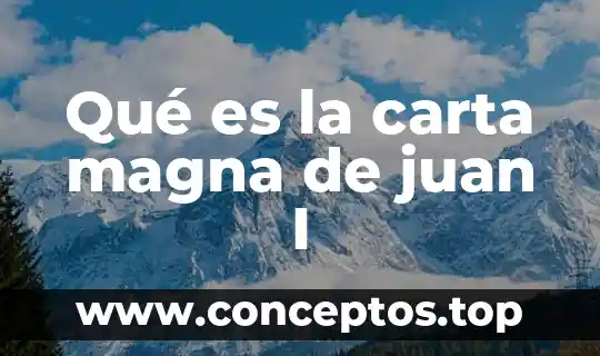 Qué es la carta magna de juan I