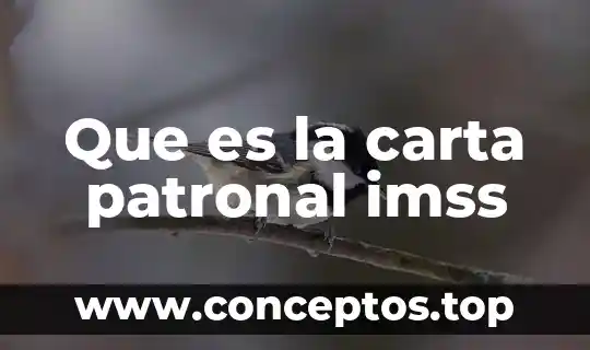 Que es la carta patronal imss