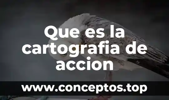 Que es la accion de libertad innovativa 4 Que es la cartografia de accion