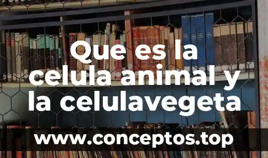Que es la celula animal y la celulavegeta