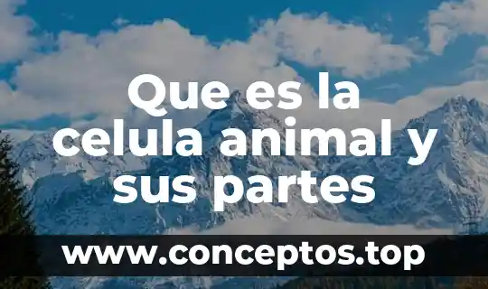 Que es un animal de laboratorio 3 Que es la celula animal y sus partes