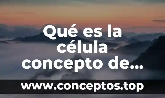 Que es ciencia caracteristicas y tipos 3 Qu茅 es la c茅lula concepto de ciencia y tecnolog铆a