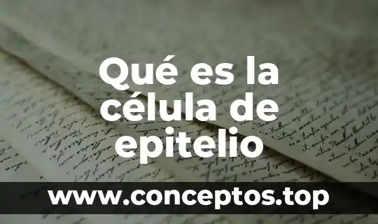 Qué es la célula de epitelio