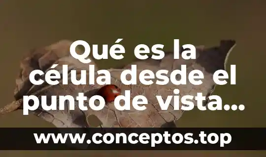 Qué es la célula desde el punto de vista anatómico