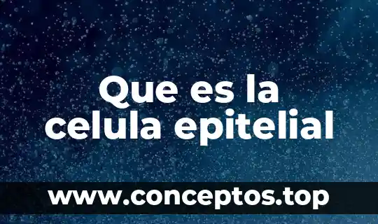Que es la celula epitelial