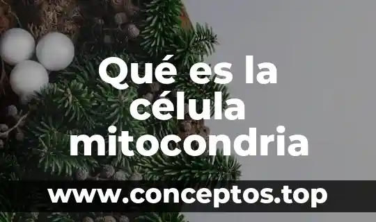 Qué es la célula mitocondria