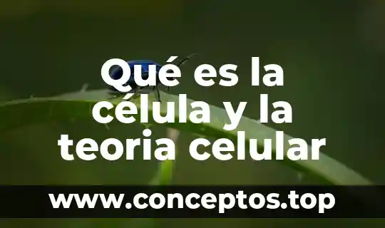Qué es la célula y la teoria celular