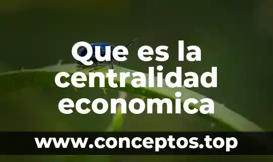 Que es la centralidad economica