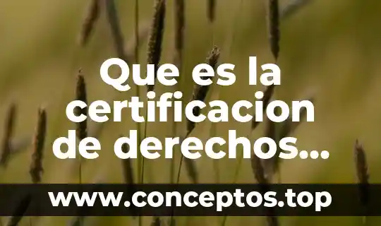 Que es la certificacion de derechos imss 522