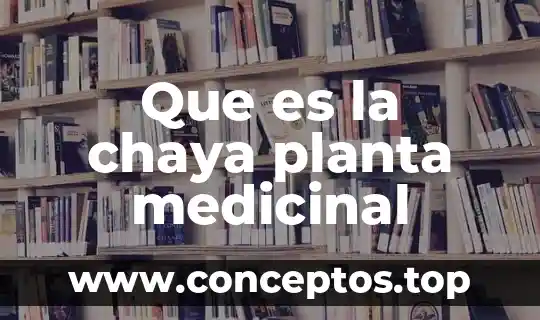 Que es biodiversidad medicinal 7 Que es la chaya planta medicinal