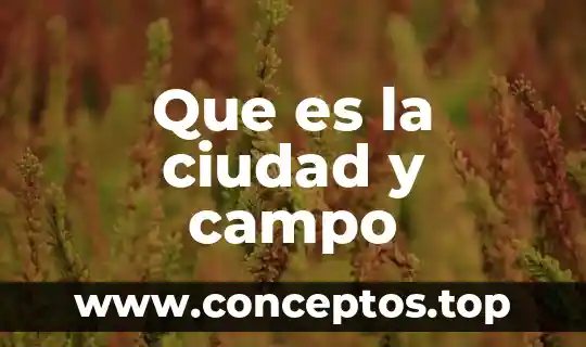 Que es la ciudad y campo
