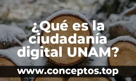 ¿Qué es la ciudadanía digital UNAM?