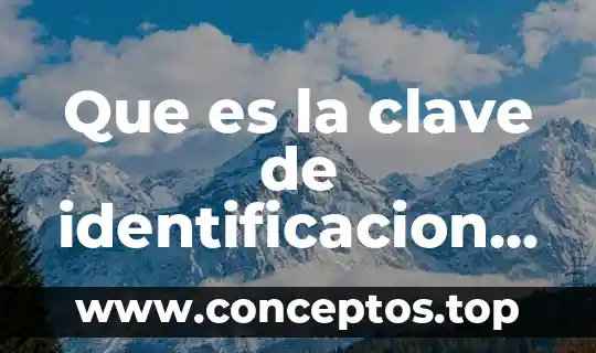 Que es la clave de identificacion fiscal