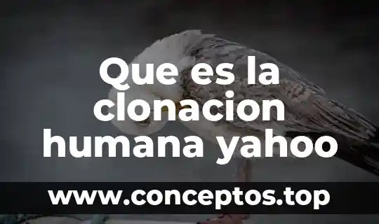 Que es el canon dela figura humana 3 Que es la clonacion humana yahoo
