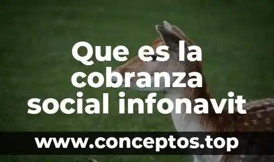 Que es el color a nivel social 3 Que es la cobranza social infonavit